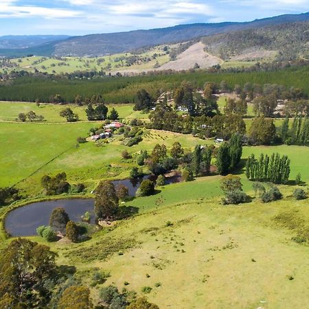 Hamlet Downs Country Accommodation Fentonbury Eksteriør bilde