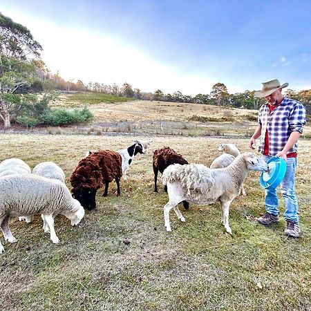 Hamlet Downs Country Accommodation Fentonbury Eksteriør bilde