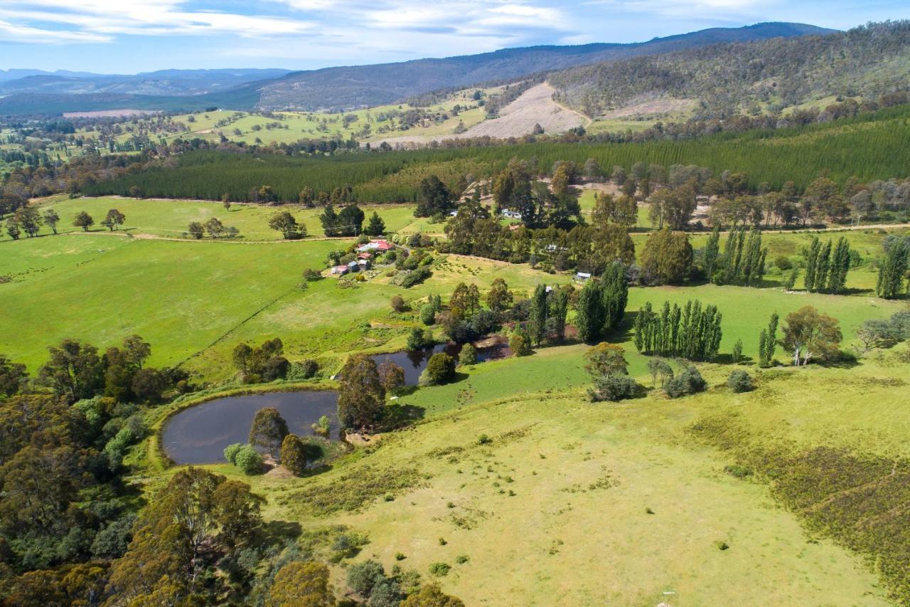 Hamlet Downs Country Accommodation Fentonbury Eksteriør bilde