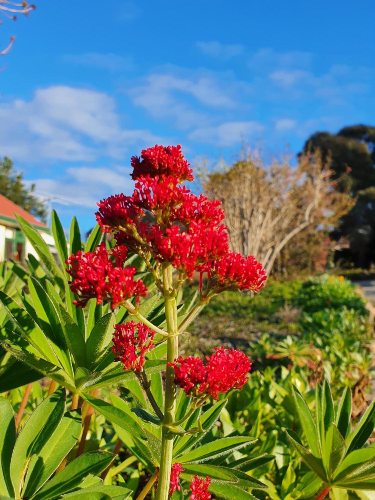 Hamlet Downs Country Accommodation Fentonbury Eksteriør bilde