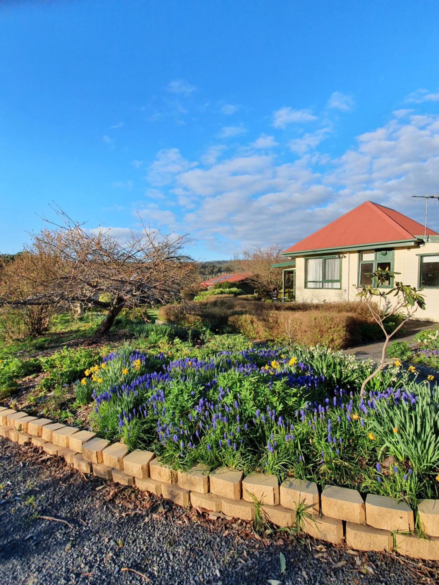 Hamlet Downs Country Accommodation Fentonbury Eksteriør bilde