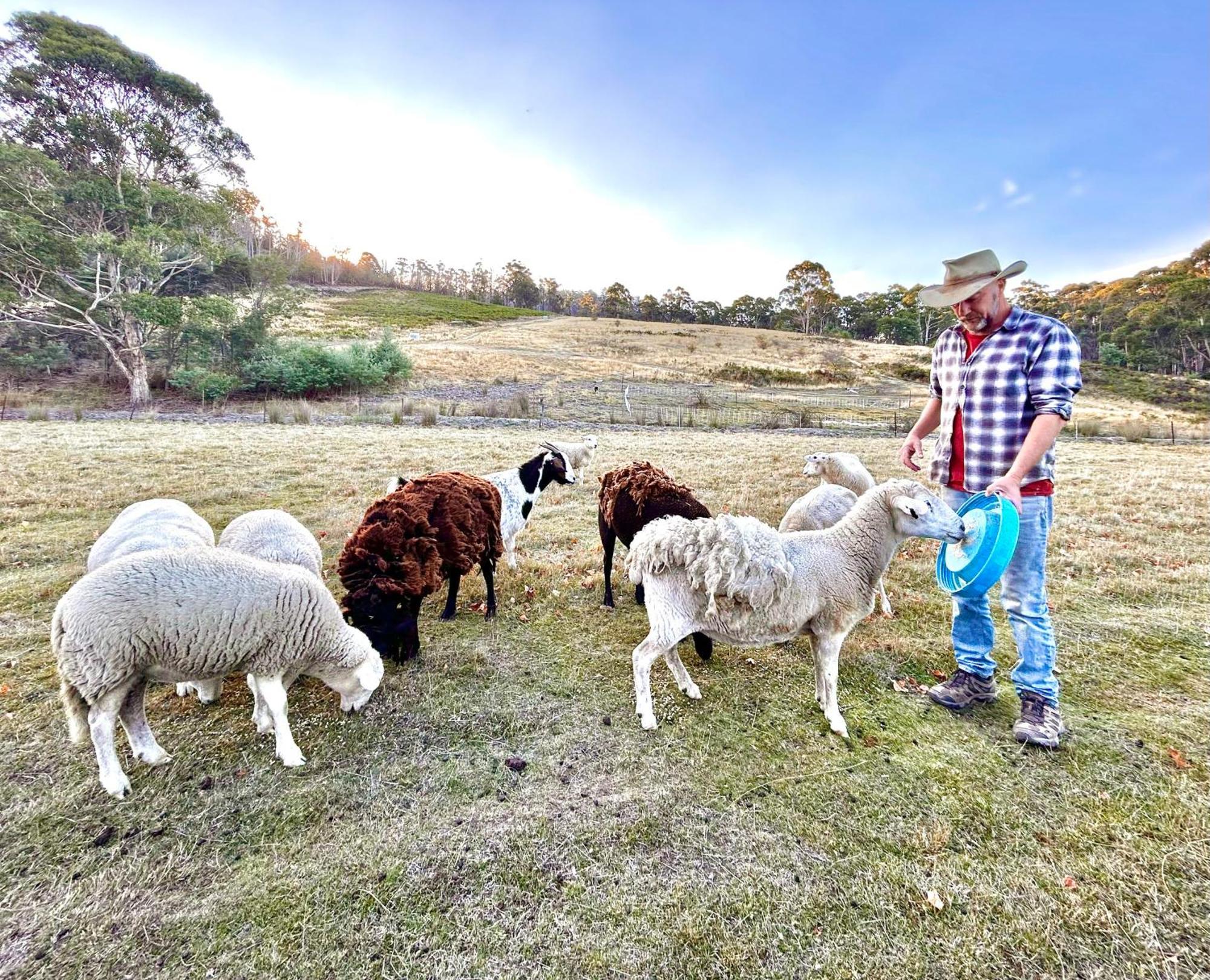 Hamlet Downs Country Accommodation Fentonbury Eksteriør bilde